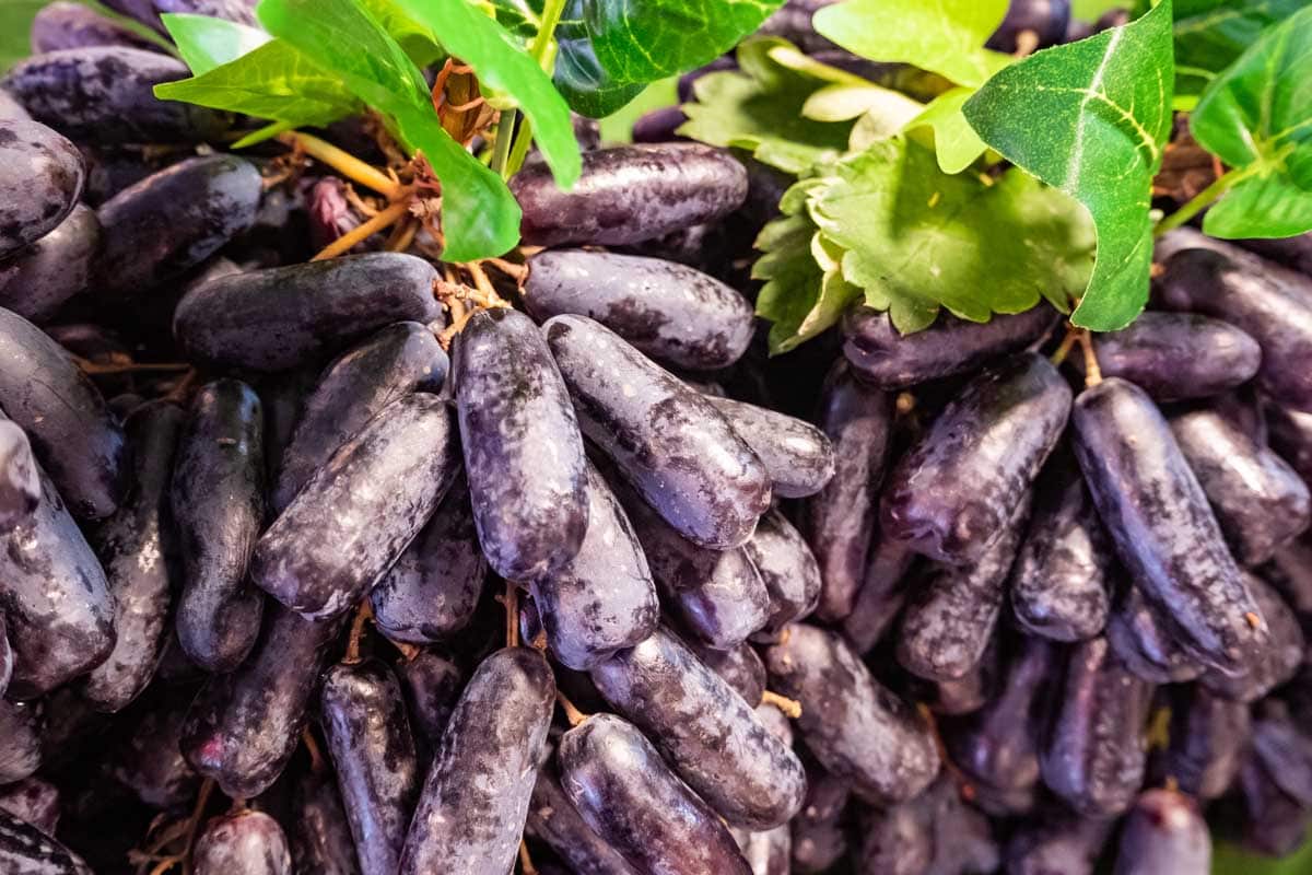 What Are Witch Finger Grapes