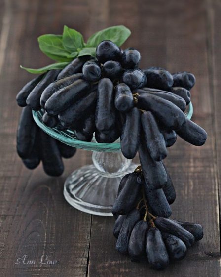 Witch Finger Grapes